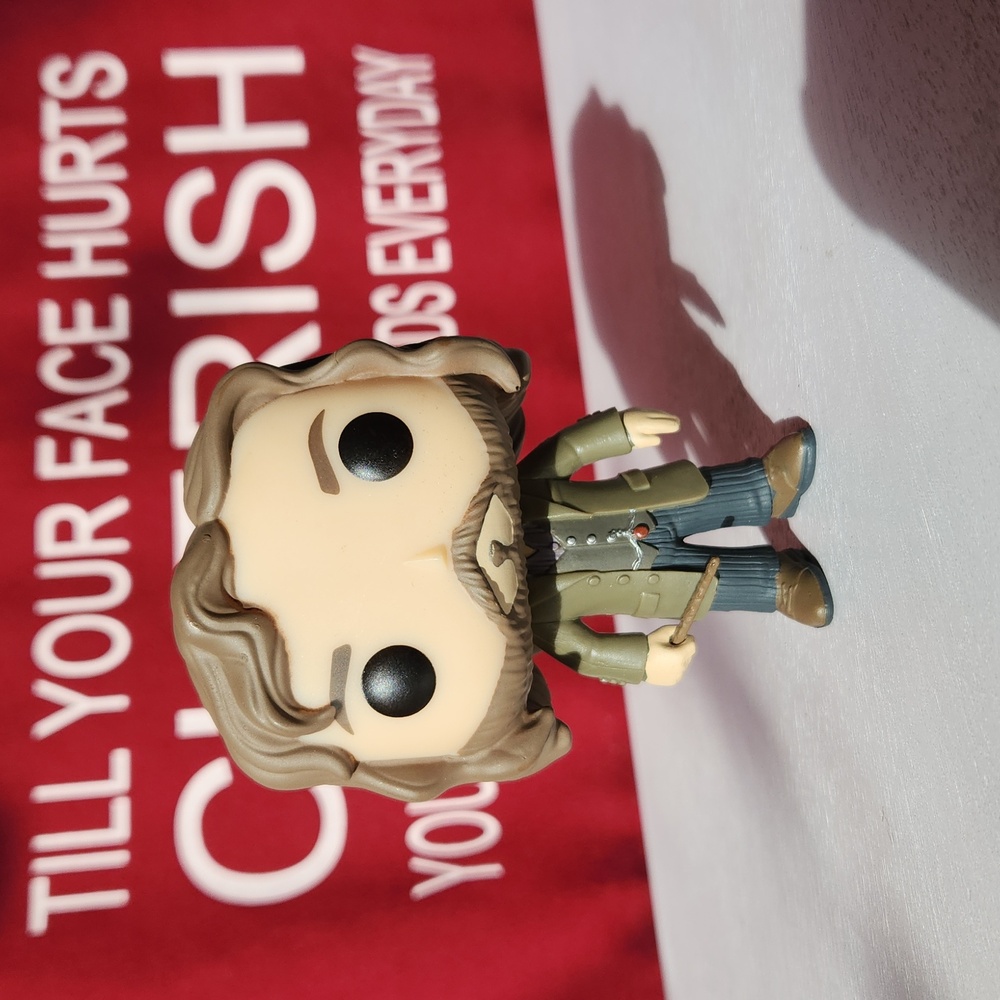 Harry Potter Funko Sirius Black #16